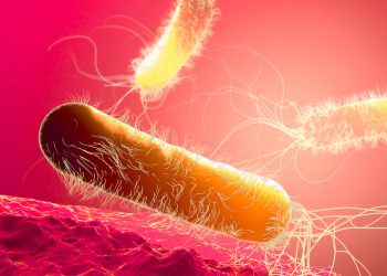 Pseudomonas aeruginosa: The emerging challenge in water management